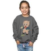 Sweat-shirt enfant Dessins Animés BI23916