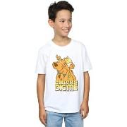 T-shirt enfant Scooby Doo BI33375