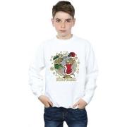 Sweat-shirt enfant Dessins Animés BI37714