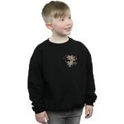 Sweat-shirt enfant Dessins Animés BI37854