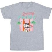 T-shirt enfant Disney Spring Palms