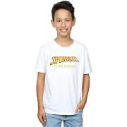 T-shirt enfant Marvel AKA Peter Parker