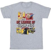 T-shirt enfant Dc Comics DC League Of Super-Pets