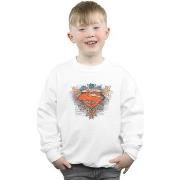 Sweat-shirt enfant Dc Comics BI33095