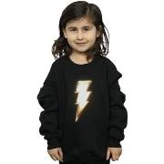 Sweat-shirt enfant Dc Comics BI33909