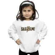 Sweat-shirt enfant Dc Comics Shazam Text Logo