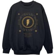 Sweat-shirt enfant Dc Comics Fury Of The Gods