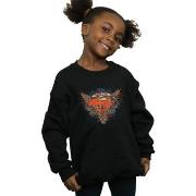 Sweat-shirt enfant Dc Comics BI34187