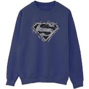 Sweat-shirt Dc Comics BI35195