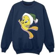 Sweat-shirt enfant Dessins Animés BI24329