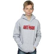 Sweat-shirt enfant Marvel BI2922