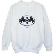 Sweat-shirt enfant Dc Comics BI38299