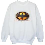 Sweat-shirt enfant Dc Comics BI38379