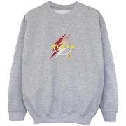 Sweat-shirt enfant Dc Comics BI38413