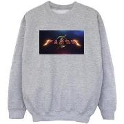 Sweat-shirt enfant Dc Comics BI38428