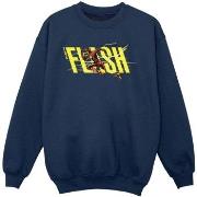 Sweat-shirt enfant Dc Comics BI40159