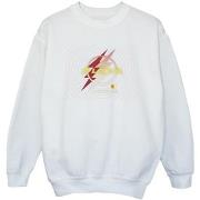 Sweat-shirt enfant Dc Comics BI40173