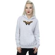 Sweat-shirt Dc Comics BI3748