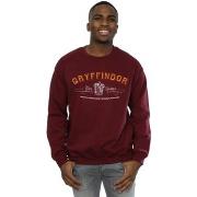 Sweat-shirt Harry Potter Gryffindor Team Quidditch