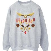 Sweat-shirt Harry Potter Quidditch Golden Snitch