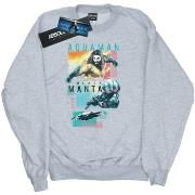 Sweat-shirt enfant Dc Comics BI6071