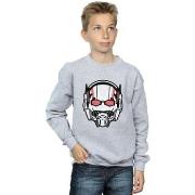 Sweat-shirt enfant Marvel Ant-Man Helmet Distressed