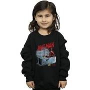 Sweat-shirt enfant Marvel Ant-Man And The Wasp Bathing Ant