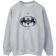 Sweat-shirt Dc Comics BI41074