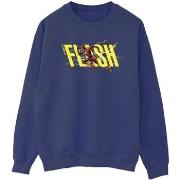 Sweat-shirt Dc Comics BI41160