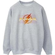 Sweat-shirt Dc Comics BI41187