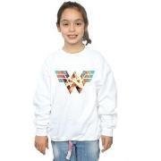 Sweat-shirt enfant Dc Comics 84