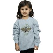 Sweat-shirt enfant Dc Comics BI42157