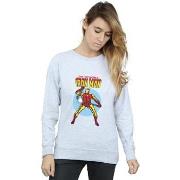 Sweat-shirt Marvel The Invincible