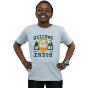 T-shirt enfant Disney Endor Camp