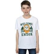 T-shirt enfant Disney Endor Camp