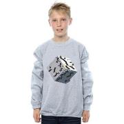 Sweat-shirt enfant Disney BI26300