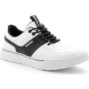 Baskets Timberland Maple Grove Sport Low