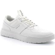 Baskets Timberland Maple Grove Sport Low