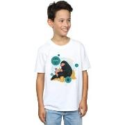 T-shirt enfant Fantastic Beasts BI49074