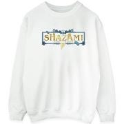 Sweat-shirt Dc Comics Shazam Fury Of The Gods Golden Logo
