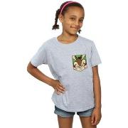 T-shirt enfant Dessins Animés BI24264