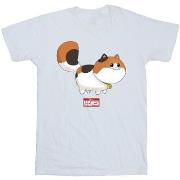 T-shirt enfant Disney Big Hero 6 Baymax Kitten Pose