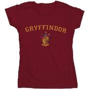 T-shirt Harry Potter BI23849