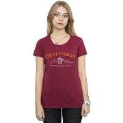 T-shirt Harry Potter BI23888