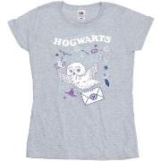 T-shirt Harry Potter BI24046