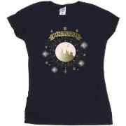 T-shirt Harry Potter BI24146