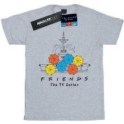 T-shirt enfant Friends BI18723