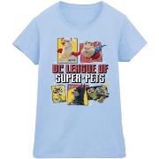 T-shirt Dc Comics BI18743