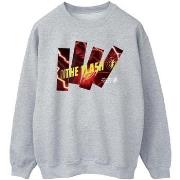 Sweat-shirt Dc Comics BI47258