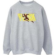 Sweat-shirt Dc Comics BI47263